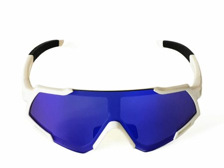 Unisex Sunglasses Brown Labrador Fx Race Blue White Online Hot Sale