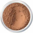 Powder Make-up Base bareMinerals Original 19-tan Spf 15 8 g Online Sale